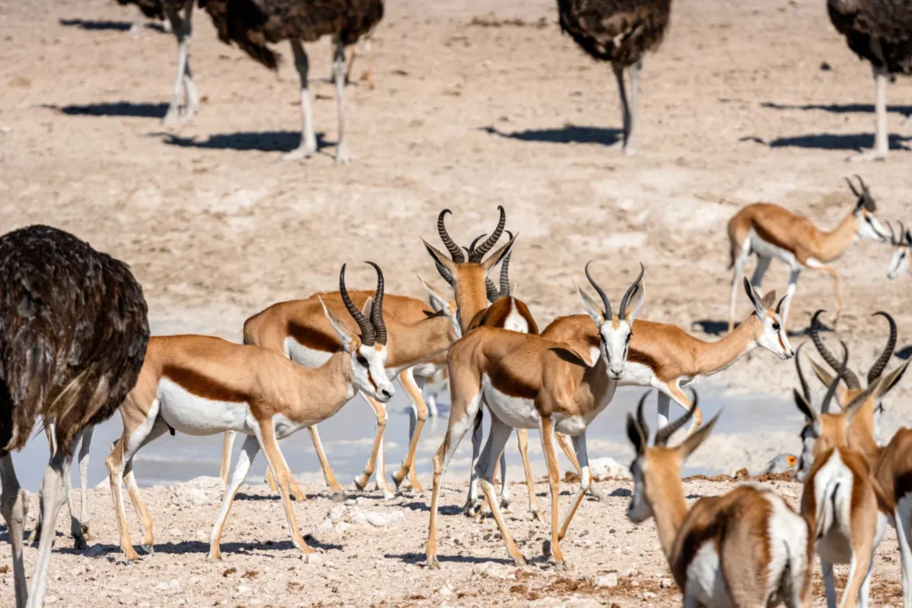 hidden gems places to visit uae 
