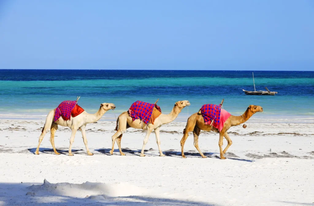 hidden gems places to visit uae