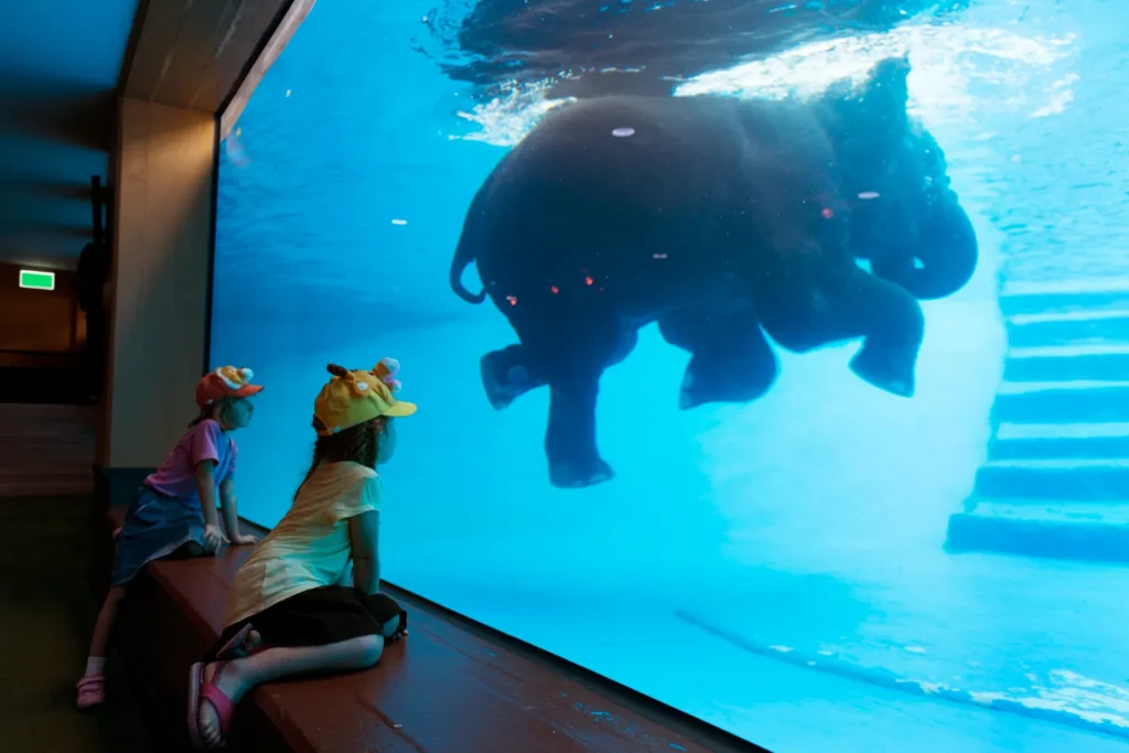 dubai indoor summer attractions 2025