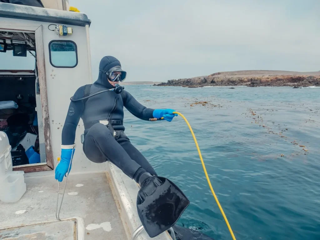 snorkeling deep dive dubai aug oct 2025