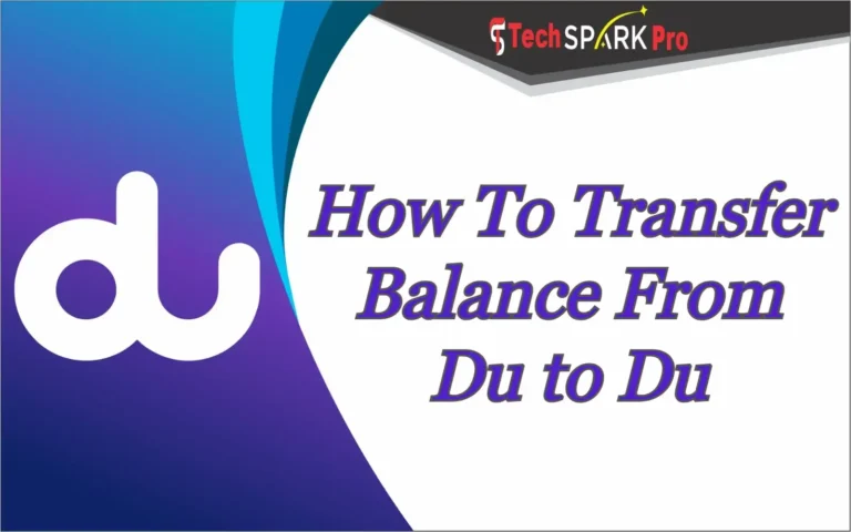 how to transfer balance from du to du