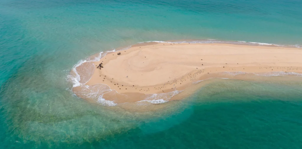 sir bu nair island sharjah opens to public